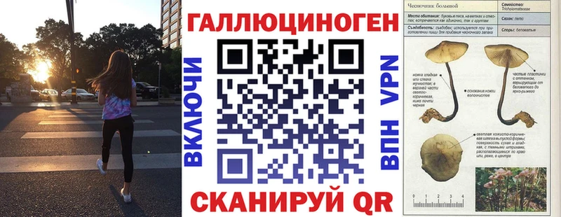 наркошоп  Лобня  Псилоцибиновые грибы Psilocybe 