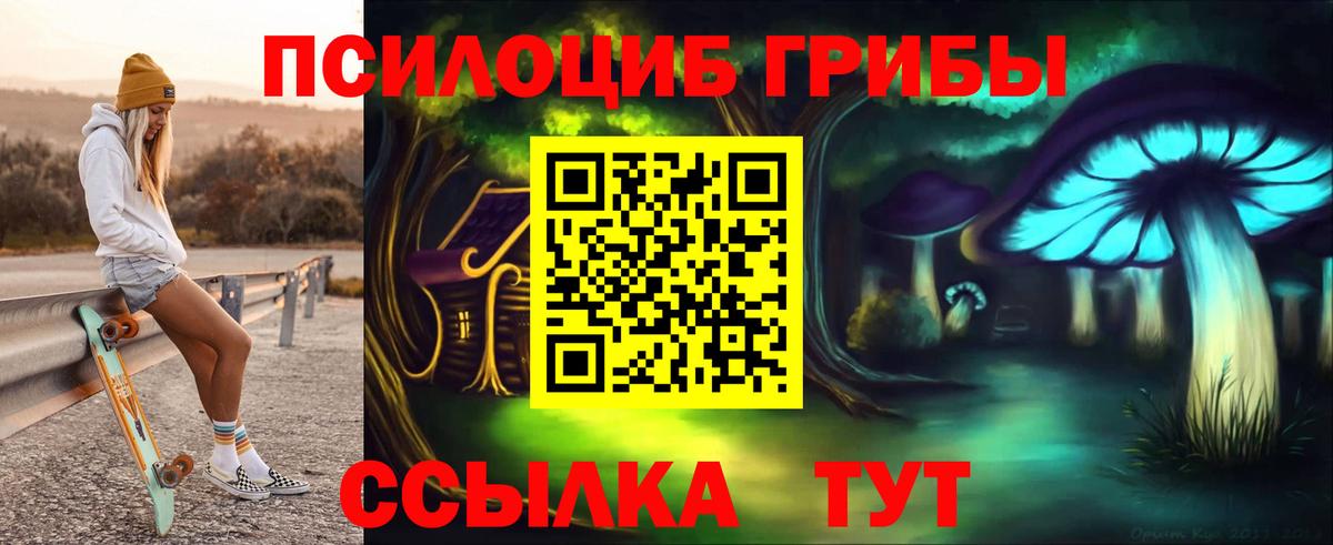 Псилоцибиновые грибы Psilocybe  Псилоцибиновые грибы мицелий  Лобня  Вход с VPN 